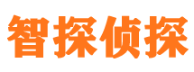 镇赉外遇调查取证